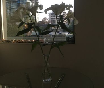 North Sydney - Photo 3