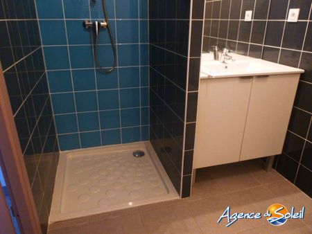 Location Appartement 1 pièce 25m² NARBONNE 11100 - Photo 3