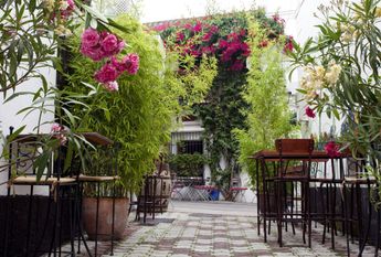 Luxury Villa for rent in Marbella Del Este, Spain