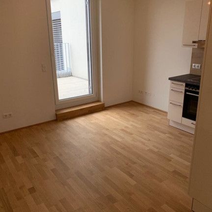 PRIVATE & EXKLUSIVE FEIERABENDSONNE - SÜDWEST DACHTERRASSE MIT ELEKTRONISCHEN AUßENJALOUSIEN UND FUßBODENKÜHLUNG - Foto 1