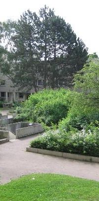 Memelweg 4, 53119 Bonn OT Tannenbusch Mitte - Foto 2