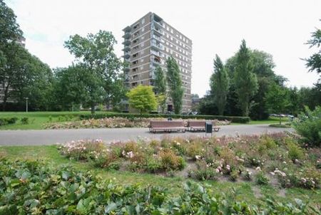 Hendrinaland 2591 TK 's-Gravenhage - Photo 5