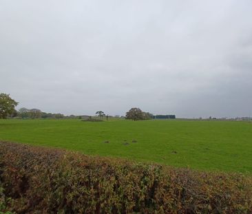 1 bedroom detached house share to rent - Photo 6