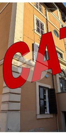 Monolocale in affitto - Photo 1
