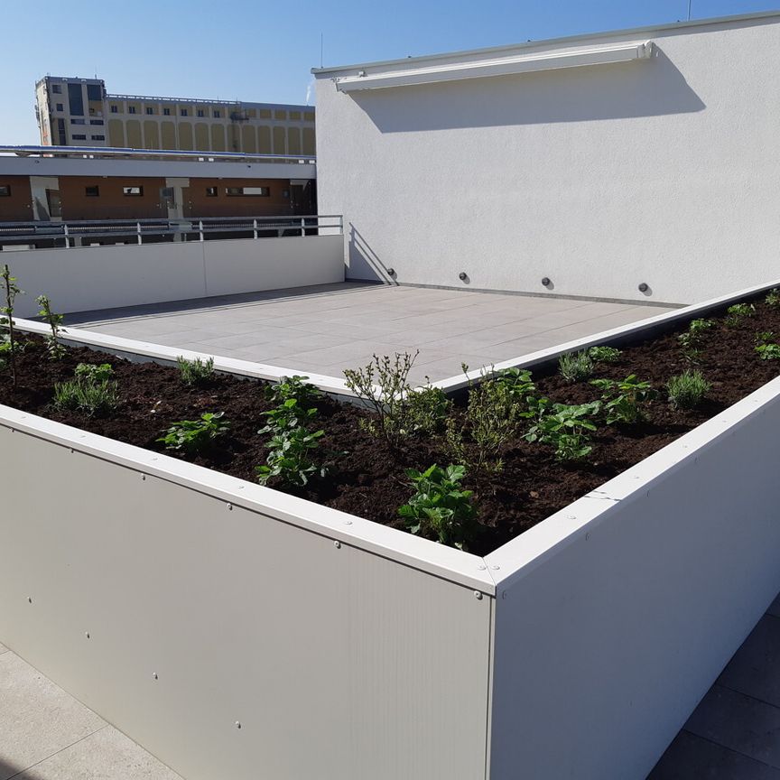 JETZT TOPAKTION: EIN MONAT MIETFREI !!! 3-ZIMMERWOHNUNG MIT TOPAUSSTATTUNG IM NEUEN REININGHAUS - Photo 1