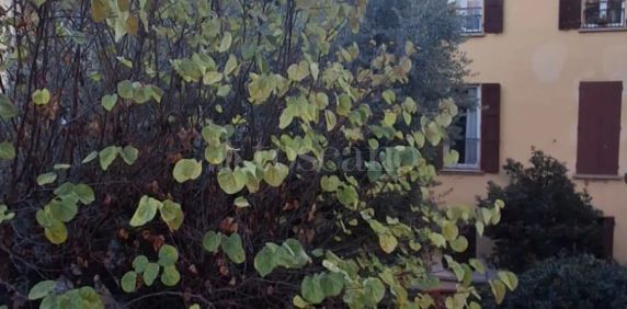 Casa in affitto - Via Fondazza, Bologna (rif. 67/2025) - Foto 2