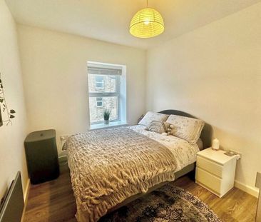 Back Dragon Parade - Photo 3