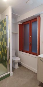 Location Appartement 1 pièce 28m² LIMOGES 87000 - Photo 3