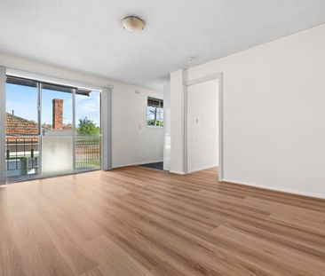 THIS IS THE ONE! - Photo 4