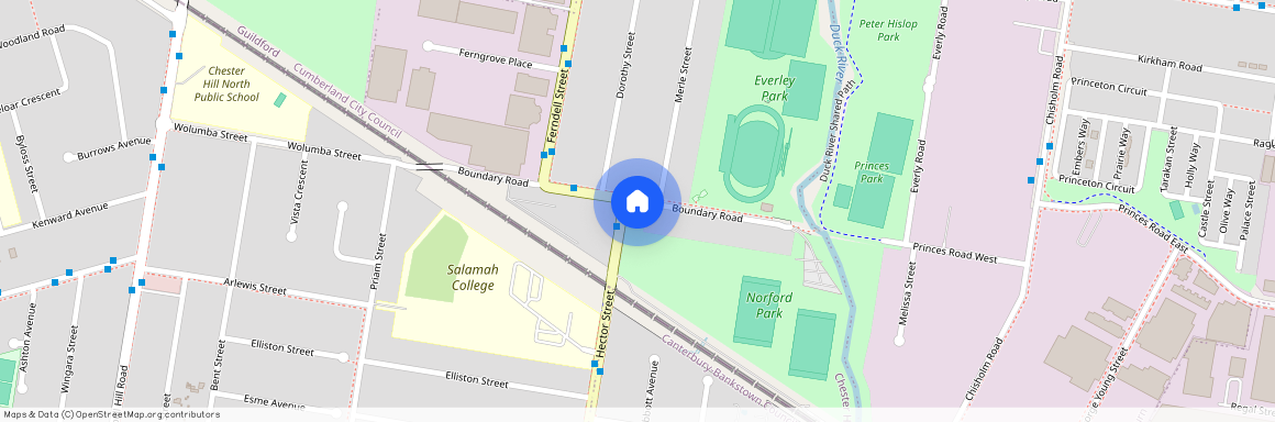 1 Hector Street, NSW 2162, Chester Hill