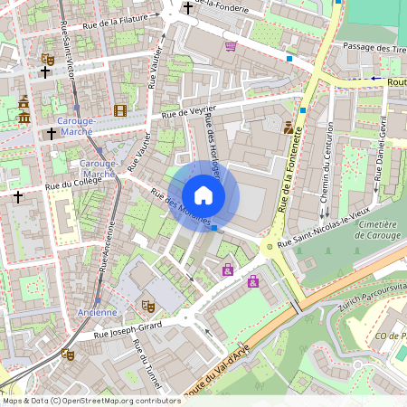 Rue des Moraines 11, 1227 Carouge