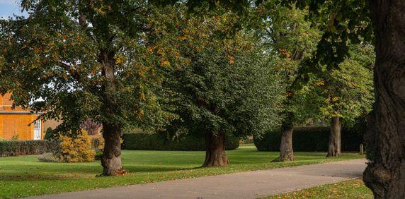 Redwood Drive, Epsom - Photo 2