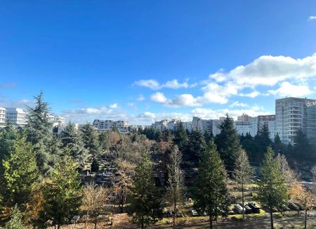 Location / Appartement T3 - Photo 2