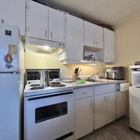 Appartement 3 ½ à louer Lévis juillet 2026 - Photo 4