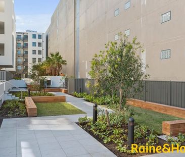 Stunning Sunny, Leafy Apartment - Photo 2