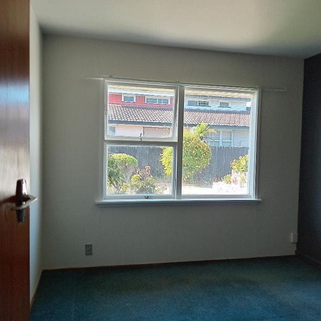 Flat In Riccarton Available - Photo 1