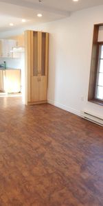 Montréal – Avenue Mercier – 3 bedroom apartment for rent - Photo 3