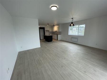 886-302, rue Lamarche, Sherbrooke, J1H 0M9 5½ (Vacant) - Photo 5