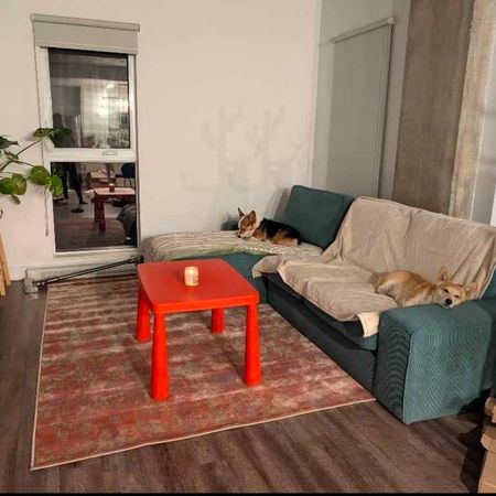 Appartement de 2 chambres et 1 salle de bain - Photo 3