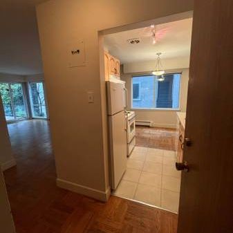 Very Bright 1-Bedroom, Steps from VGH, Granville & Broadway - Photo 3