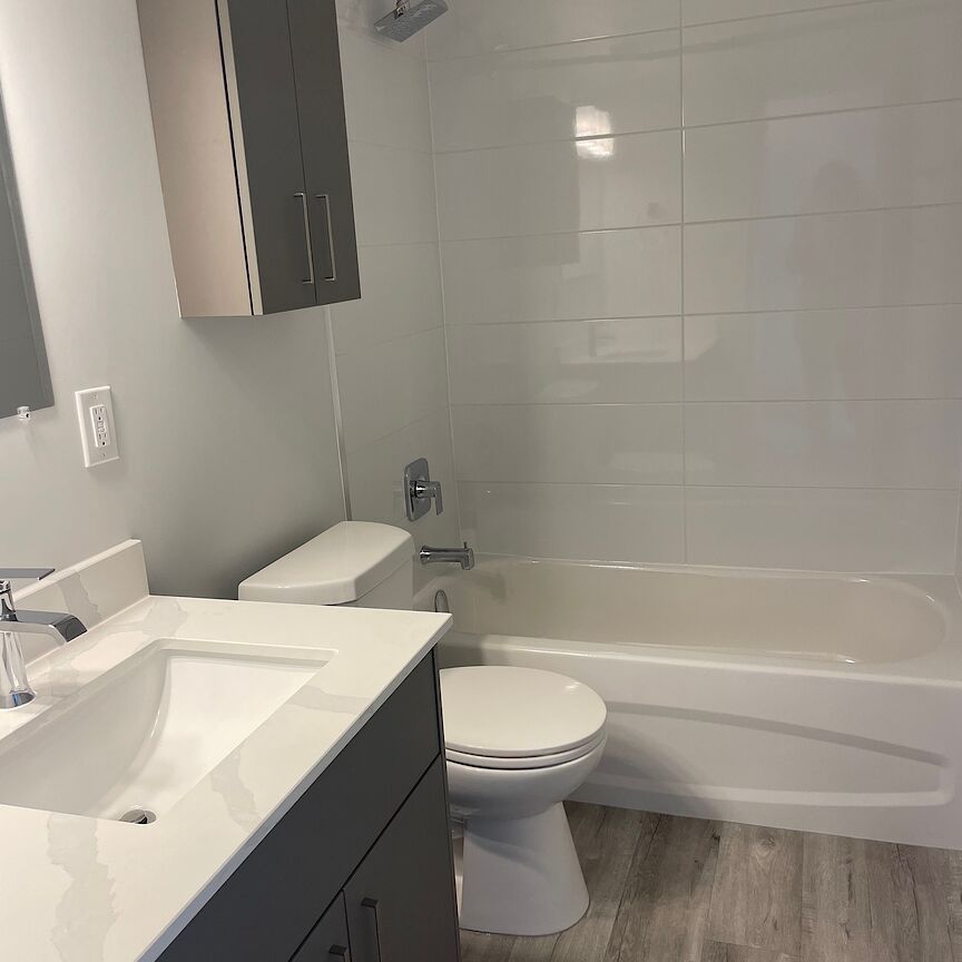 Mid-rise apartment building in Centretown - One-month free rent on 12-month lease! - Photo 1