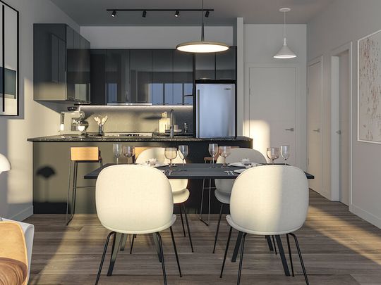 Condo Apartments for Rent- Condos Appartements a louer- Griffintown-Sud-Ouest - Photo 1