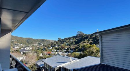 Tidy 2 bedroom semi detached house in Karori - Photo 4