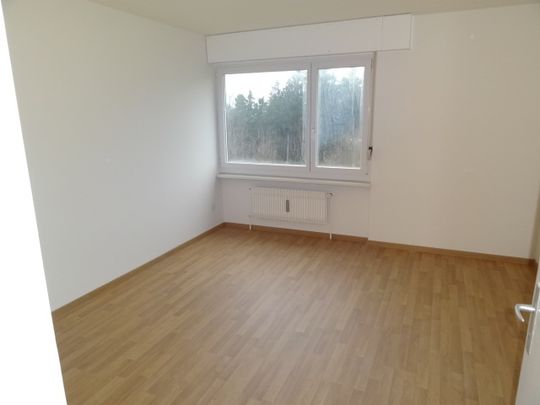 Grosszügige 2-Zimmerwohnung in ruhigem Quartier - Foto 1