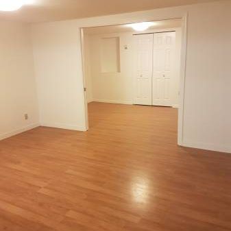 Newly Renovated, Luxurious Basement Suite – Utilities Included - Photo 3