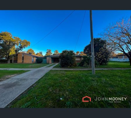 19 Spring Street, Wagga Wagga, NSW 2650 - Photo 4