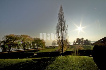 1 Zimmer, EG - Photo 4