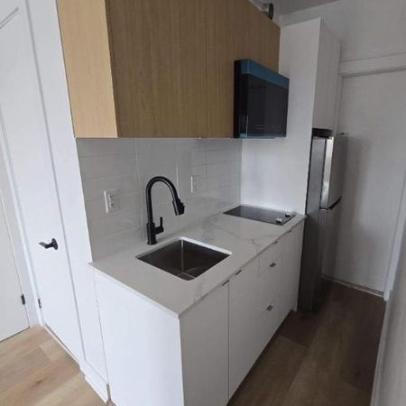 1 CH - 1 SDB - Montréal - $1,190 /mo - Photo 3