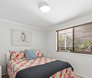 CABOOLTURE - ACREAGE & SHEDS & POOL - Photo 5