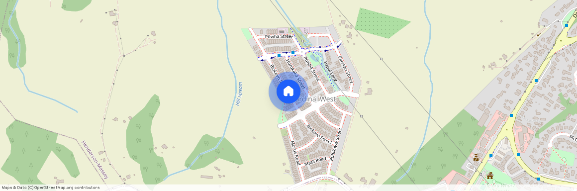 Biokovo Street, Massey, Waitakere City