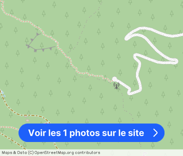 T1 Marseille (13011) - Photo 1