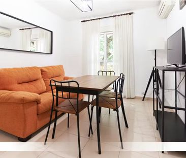 Calle Santo Ángel, Sevilla, Andalusia 41011 - Photo 3