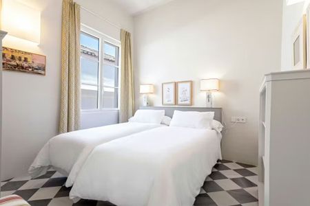 Calle Liñán, Sevilla, Andalusia 41002 - Photo 2