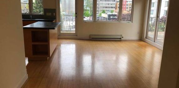 Penthouse -Pet Friendly-AVAILABLE Feb 1st-Furnished 3 BR@1540 Haro - Photo 2