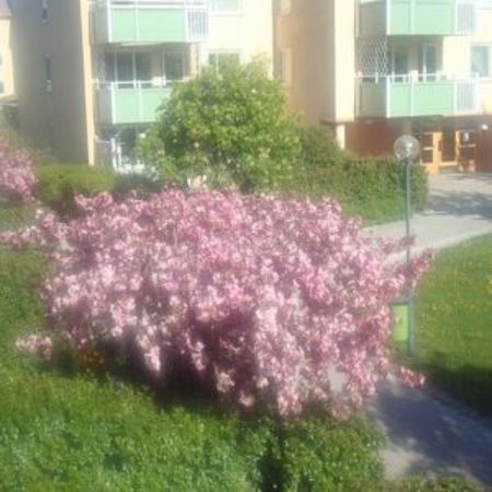 Enskede - 2rok - 5mån - 9.200kr/mån - Photo 5