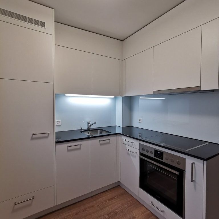 Attraktive Dachwohnung zu vermieten - Foto 1