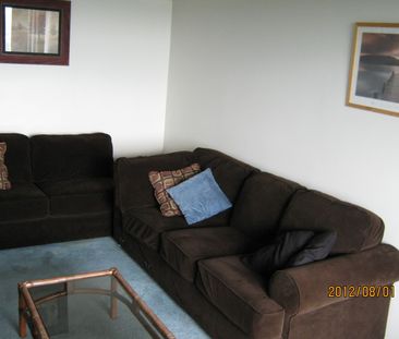 fully furnished 3 BR apt - Photo 1