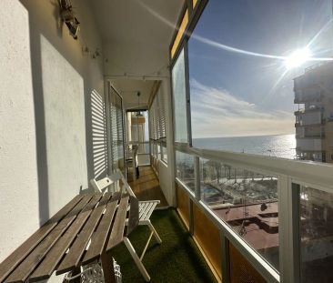 Algarrobo - Foto 2