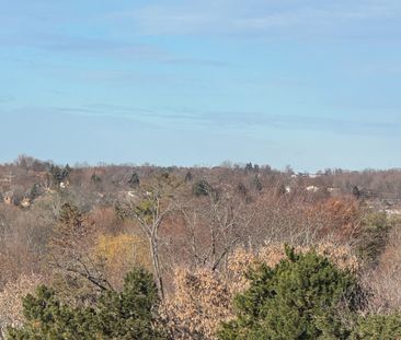 For Lease - 705 Davis Drive Unit# A402, Newmarket, Ontario - Photo 4