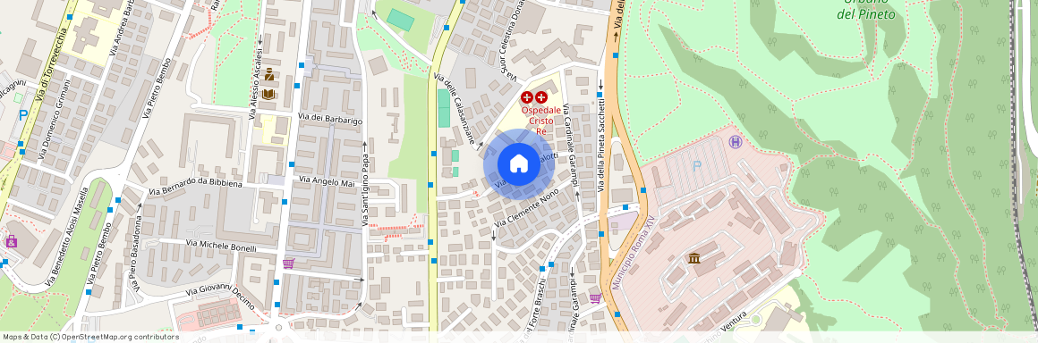 Via Cardinal Salotti, Rome, Lazio 00167