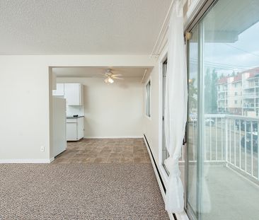 Diplomat Manor - Photo 5