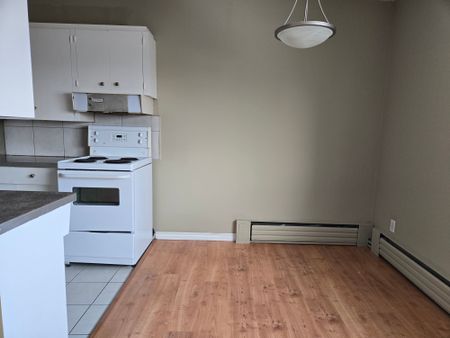 Manitoba, 519 Richmond Street, R3G 3J2, Winnipeg - Photo 5