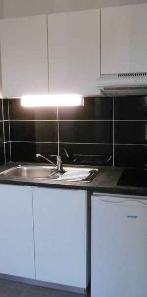 Location Appartement 1 pièce 24m² MONTPELLIER 34000 - Photo 1