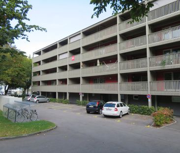 2.5 Zimmer, EG - Photo 5