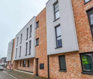 Appartement te huur in Werchter voor € 1.200 met 2 slaapkamers - Foto 4