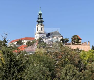 NA PRENÁJOM 2 IZBOVÝ BYT S TERASOU A BALKÓNOM NITRA CENTRUM – Fotografia 1